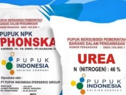 Inilah Nomor Pengaduan.Apabila Ada Yang Menjual Pupuk Subsidi Diatas HET