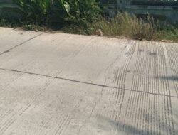 Belum Lama Rampung, Proyek Rigid Beton BKKD 2025 di Desa Ngasinan Padangan Retak, Publik Soroti Kualitas Pekerjaan