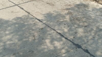 IMG 20260711 WA0024