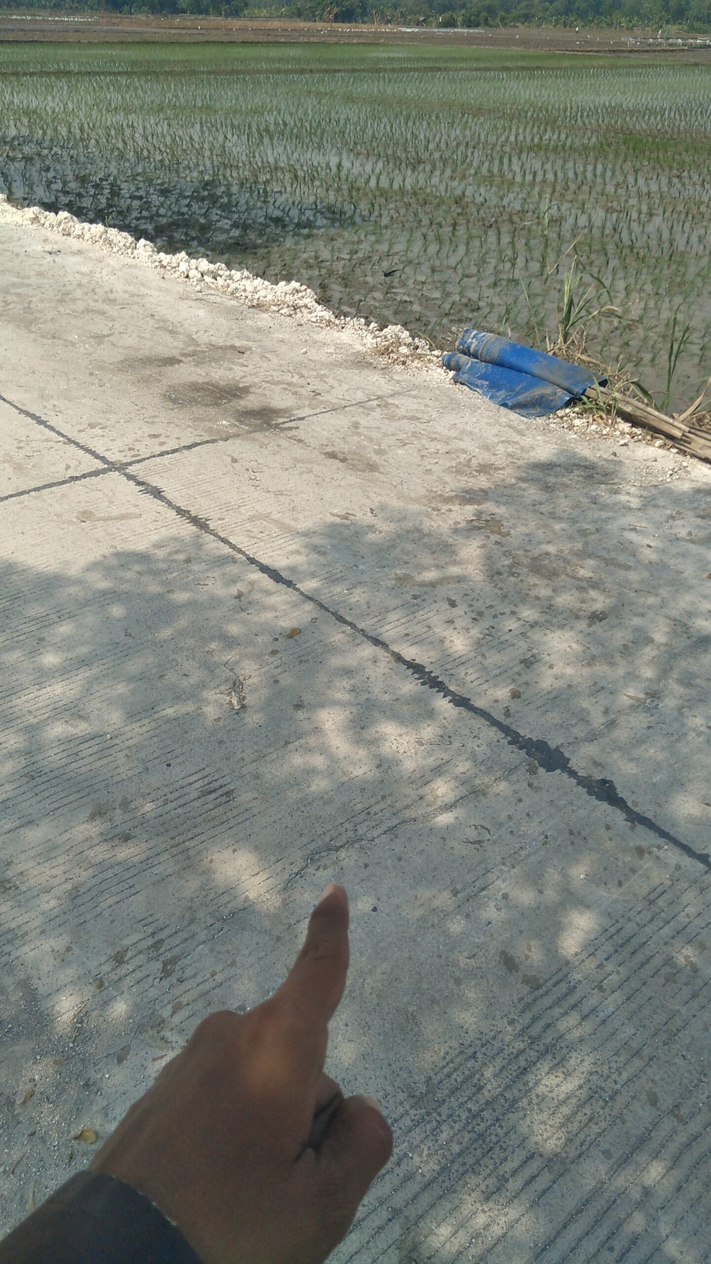 IMG 20260711 WA0024