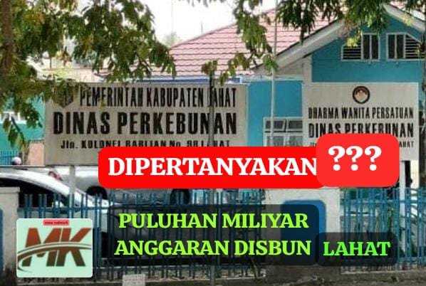 IMG 20260713 WA0040