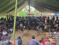 Diduga Judi Tajen Marak di Bangli, Kapolres Dinilai Tutup Mata? Arena Beroperasi Hampir Setiap Hari, Masyarakat Minta Penegakan Hukum Tegas