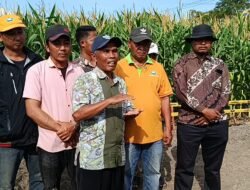 Perkuat Hilirisasi Jagung dan Pengembangan UMKM Pertanian Melalui Kolaborasi Lintas Sektor