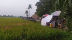 IMG 20260801 WA0030