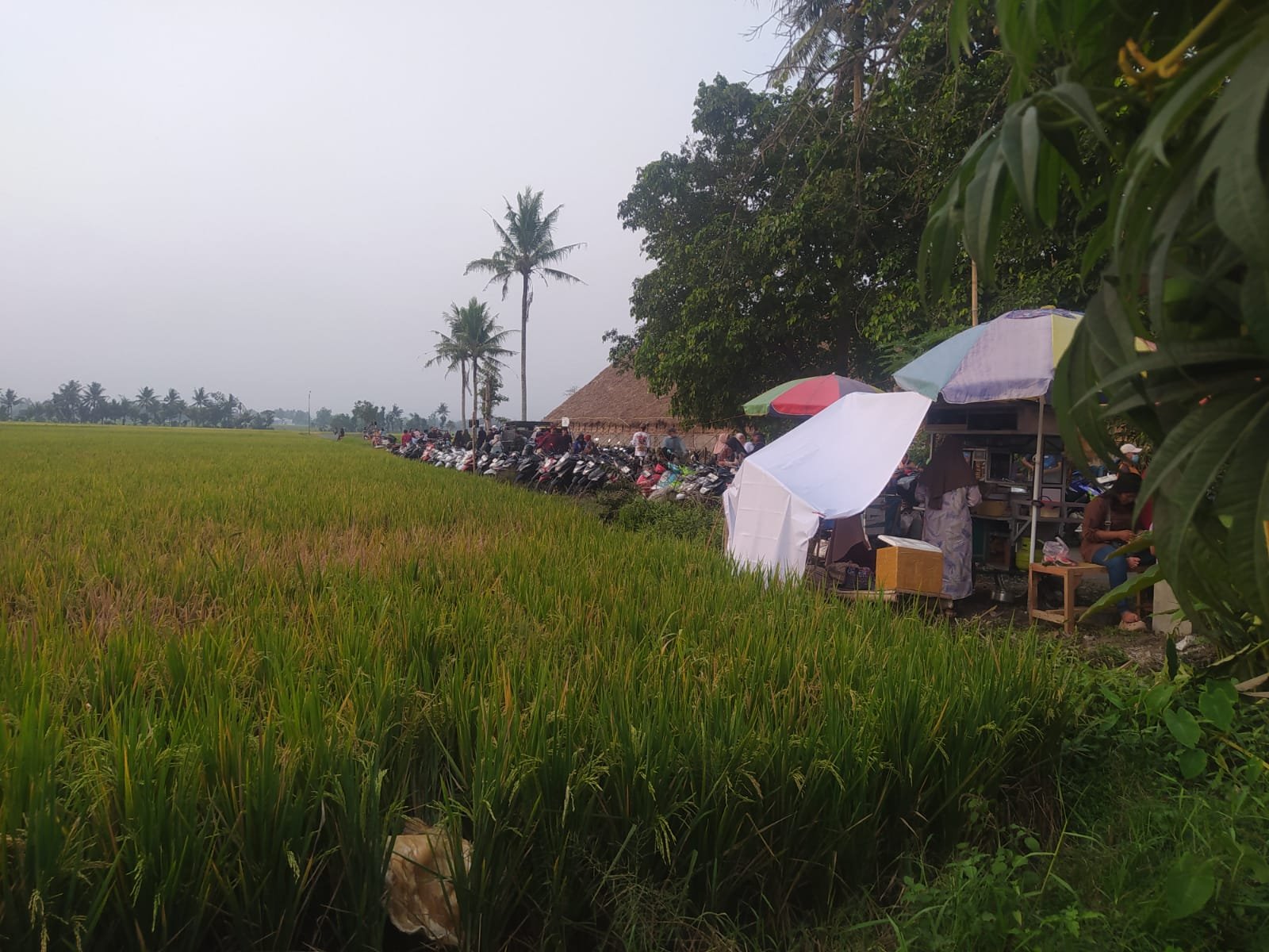 IMG 20260801 WA0030