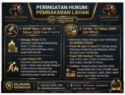 IMG 20260801 WA0065