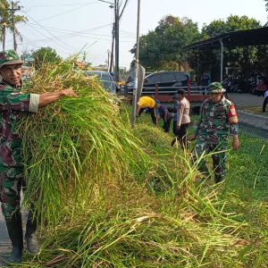 Dandim Pemalang Pimpin Karya Bakti TNI Sambut HUT TNI Ke-81 dan HUT Kodam IV/Diponegoro Ke-76