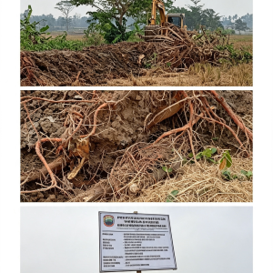 Proyek Normalisasi Saluran Way Siring Disorot: Dugaan BBM Bersubsidi dan Kualitas Pekerjaan Dipertanyakan