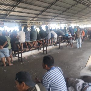Dugaan Sabung Ayam dan Aktivitas Perjudian di Perbatasan Klurak–Kalipecabean Disorot Warga, APH Diminta Turun Tangan
