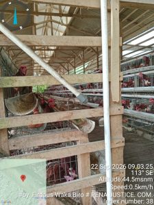 IMG 20260922 WA0113